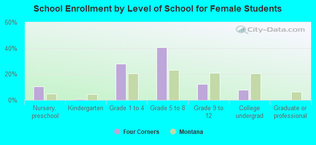 School Enrollment by Level of School for Female Students