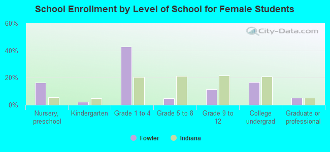 School Enrollment by Level of School for Female Students