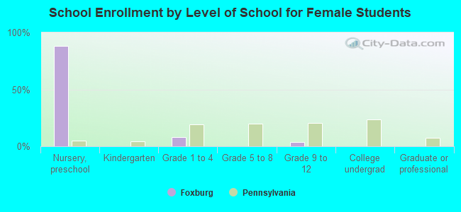 School Enrollment by Level of School for Female Students