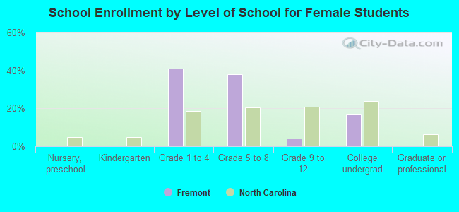 School Enrollment by Level of School for Female Students