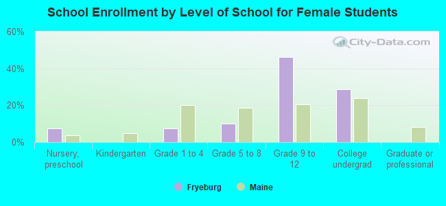 School Enrollment by Level of School for Female Students