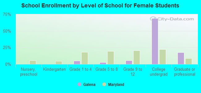 School Enrollment by Level of School for Female Students