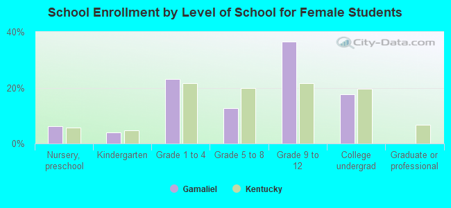 School Enrollment by Level of School for Female Students