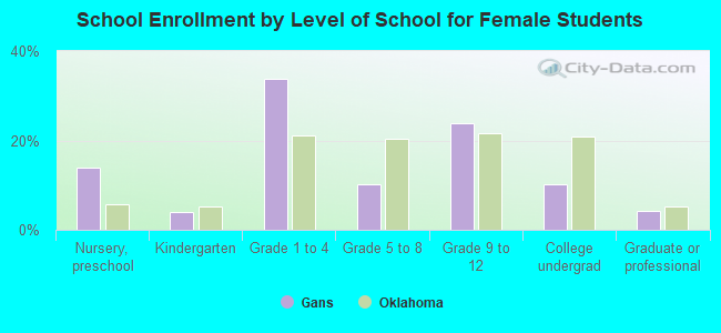 School Enrollment by Level of School for Female Students