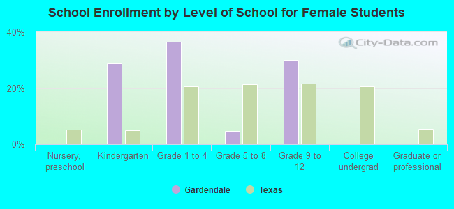 School Enrollment by Level of School for Female Students