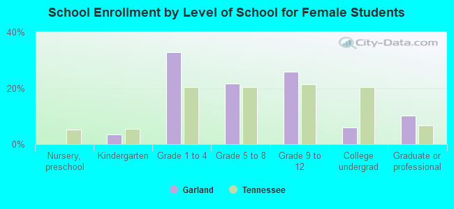 School Enrollment by Level of School for Female Students