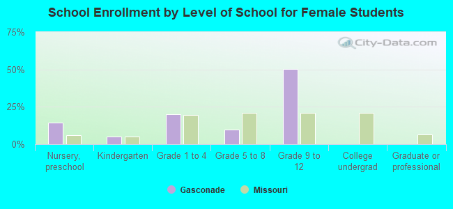 School Enrollment by Level of School for Female Students