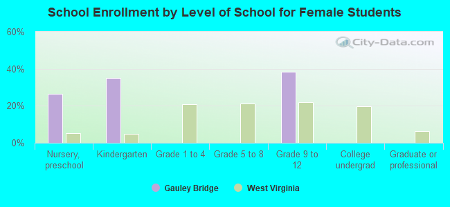 School Enrollment by Level of School for Female Students