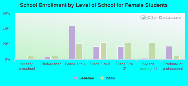 School Enrollment by Level of School for Female Students