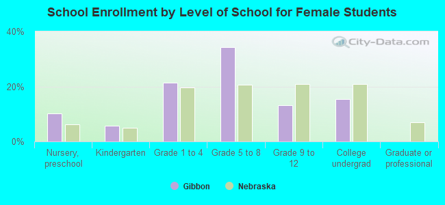 School Enrollment by Level of School for Female Students