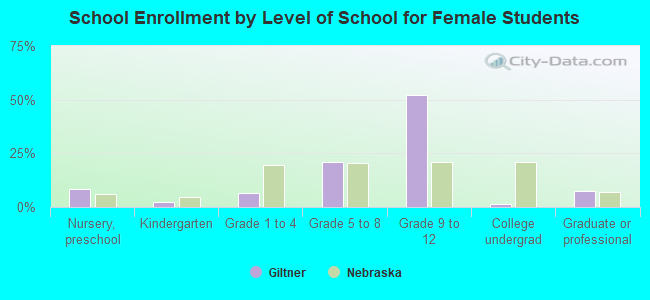 School Enrollment by Level of School for Female Students