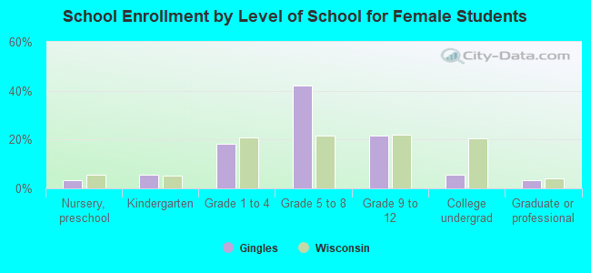 School Enrollment by Level of School for Female Students