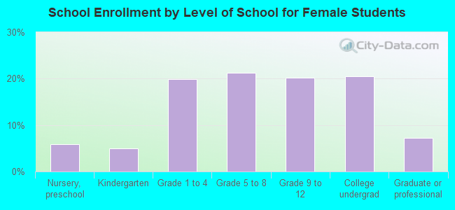 School Enrollment by Level of School for Female Students