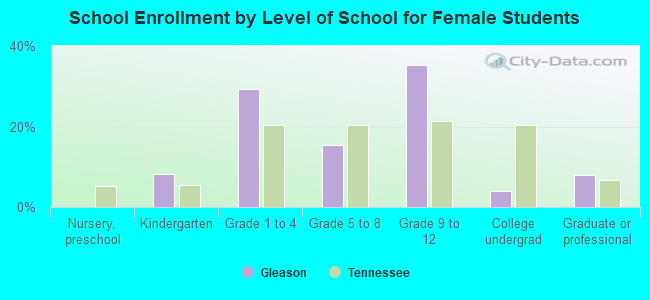 School Enrollment by Level of School for Female Students