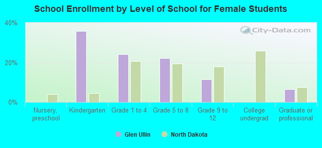 School Enrollment by Level of School for Female Students