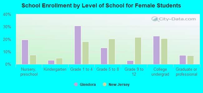 School Enrollment by Level of School for Female Students