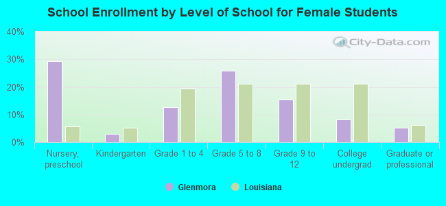 School Enrollment by Level of School for Female Students