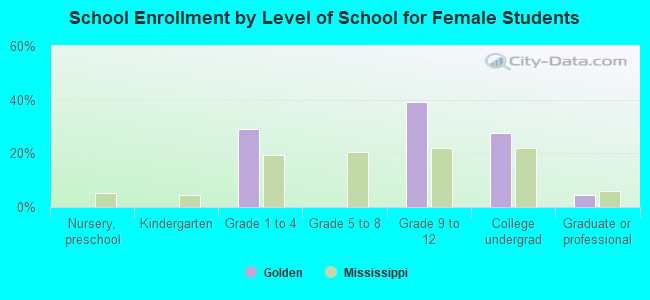 School Enrollment by Level of School for Female Students