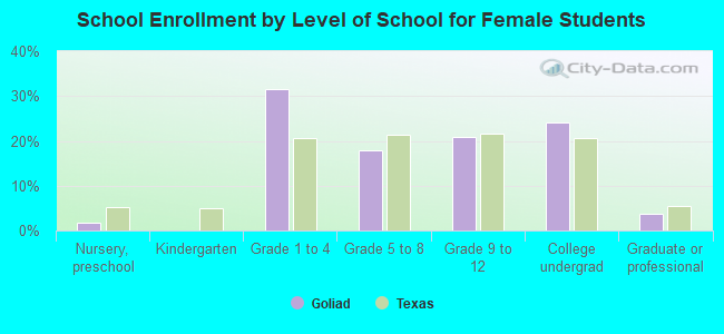 School Enrollment by Level of School for Female Students