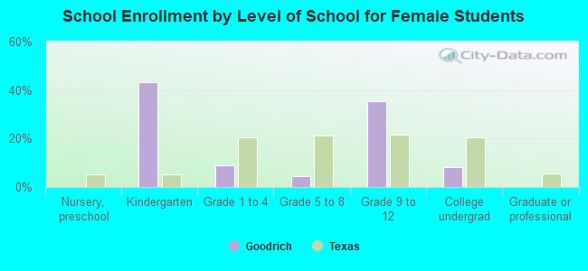 School Enrollment by Level of School for Female Students