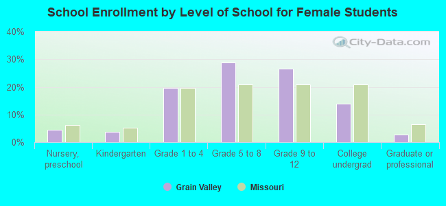 School Enrollment by Level of School for Female Students