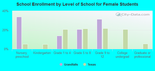 School Enrollment by Level of School for Female Students