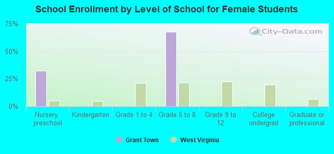 School Enrollment by Level of School for Female Students