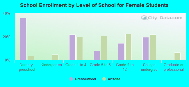 School Enrollment by Level of School for Female Students