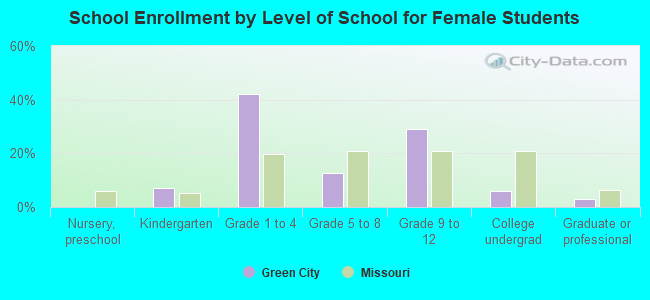 School Enrollment by Level of School for Female Students