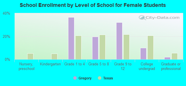 School Enrollment by Level of School for Female Students