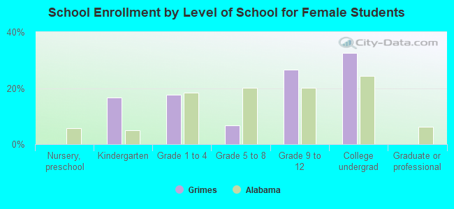 School Enrollment by Level of School for Female Students