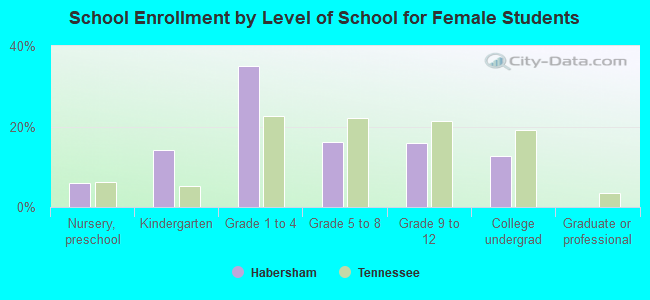 School Enrollment by Level of School for Female Students