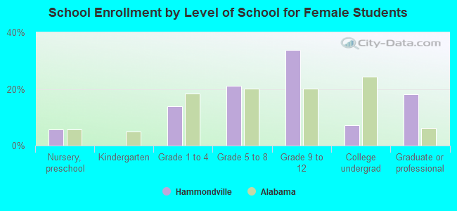 School Enrollment by Level of School for Female Students