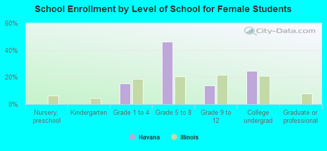 School Enrollment by Level of School for Female Students