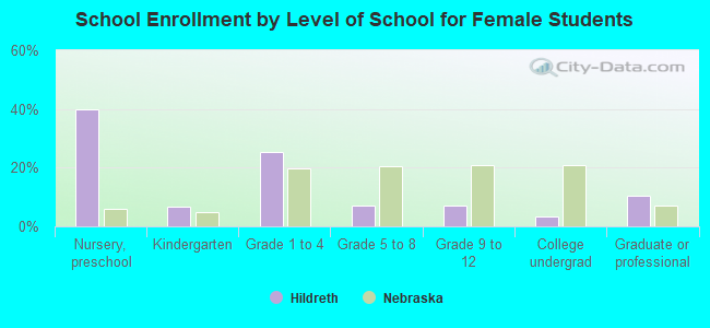 School Enrollment by Level of School for Female Students