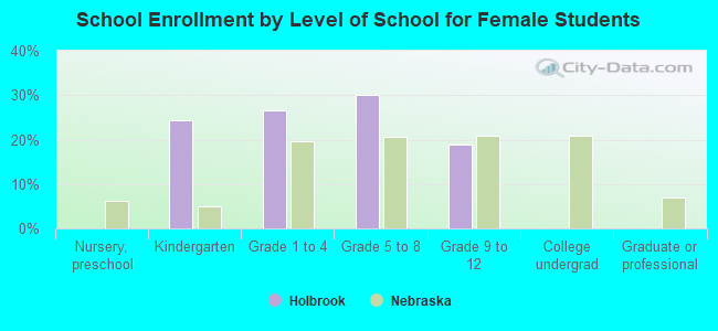 School Enrollment by Level of School for Female Students