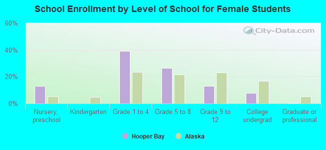 School Enrollment by Level of School for Female Students