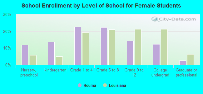 School Enrollment by Level of School for Female Students