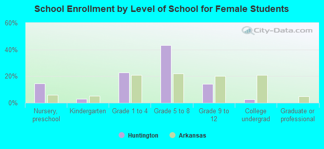 School Enrollment by Level of School for Female Students