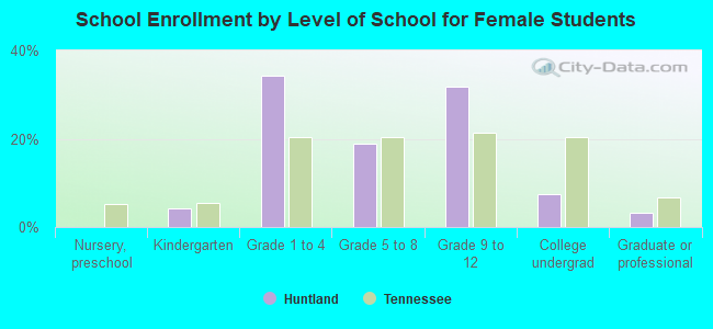 School Enrollment by Level of School for Female Students