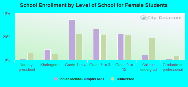 School Enrollment by Level of School for Female Students