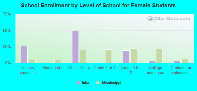 School Enrollment by Level of School for Female Students