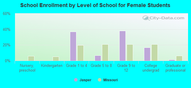 School Enrollment by Level of School for Female Students