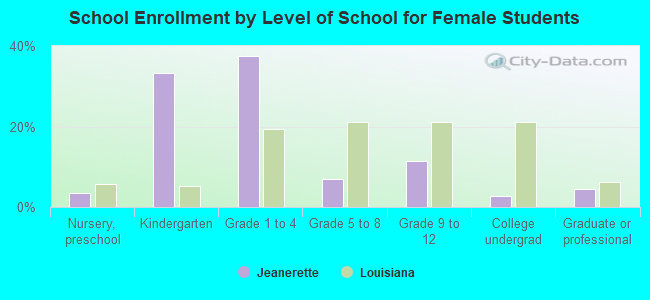 School Enrollment by Level of School for Female Students