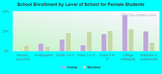 School Enrollment by Level of School for Female Students