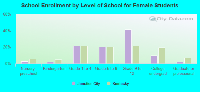 School Enrollment by Level of School for Female Students