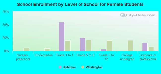 School Enrollment by Level of School for Female Students