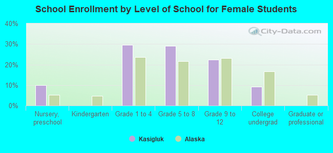 School Enrollment by Level of School for Female Students