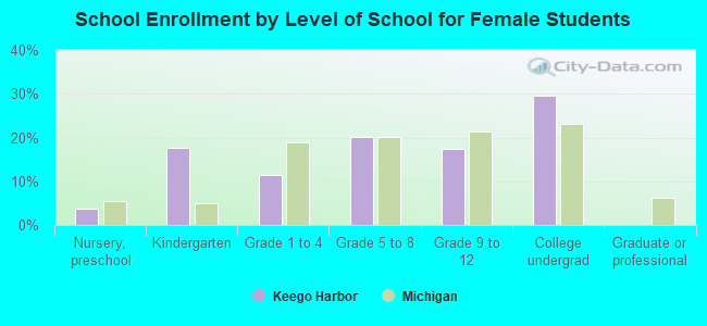 School Enrollment by Level of School for Female Students