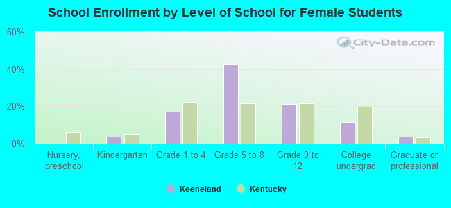 School Enrollment by Level of School for Female Students